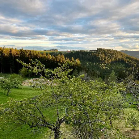 Tatil Evi Mit 5* Luxus Im Schwarzwald Gemeinde Aichhalden